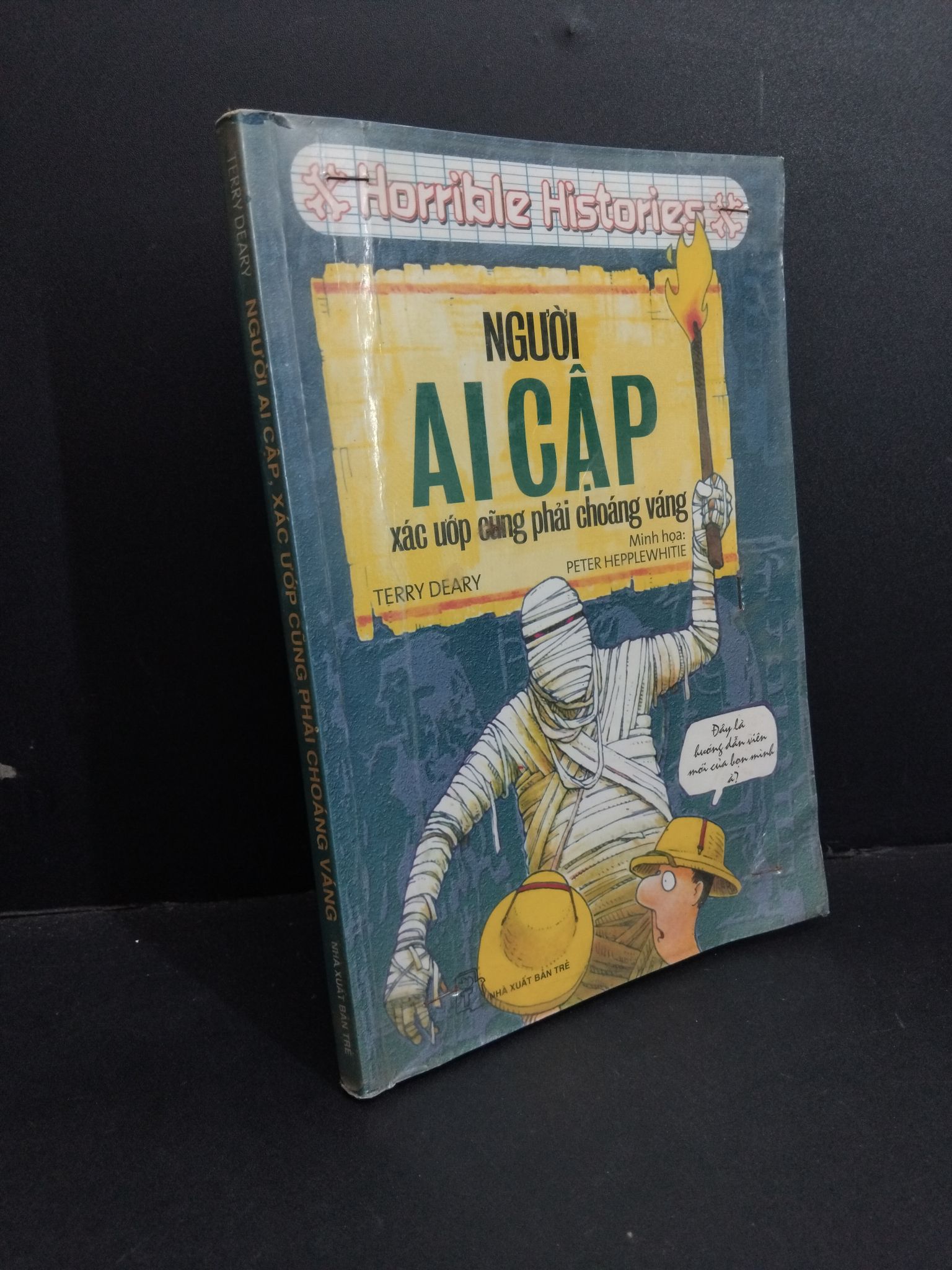 Người Ai Cập, xác ướp Ai Cập cũng phải choáng váng mới 80% ố vàng có mộc gấp bìa 2011 2811 Terry Deary Kiến thức bách khoa (SL có thể đặt: 2 Cuốn) - SÁCH ĐẠI HỌC