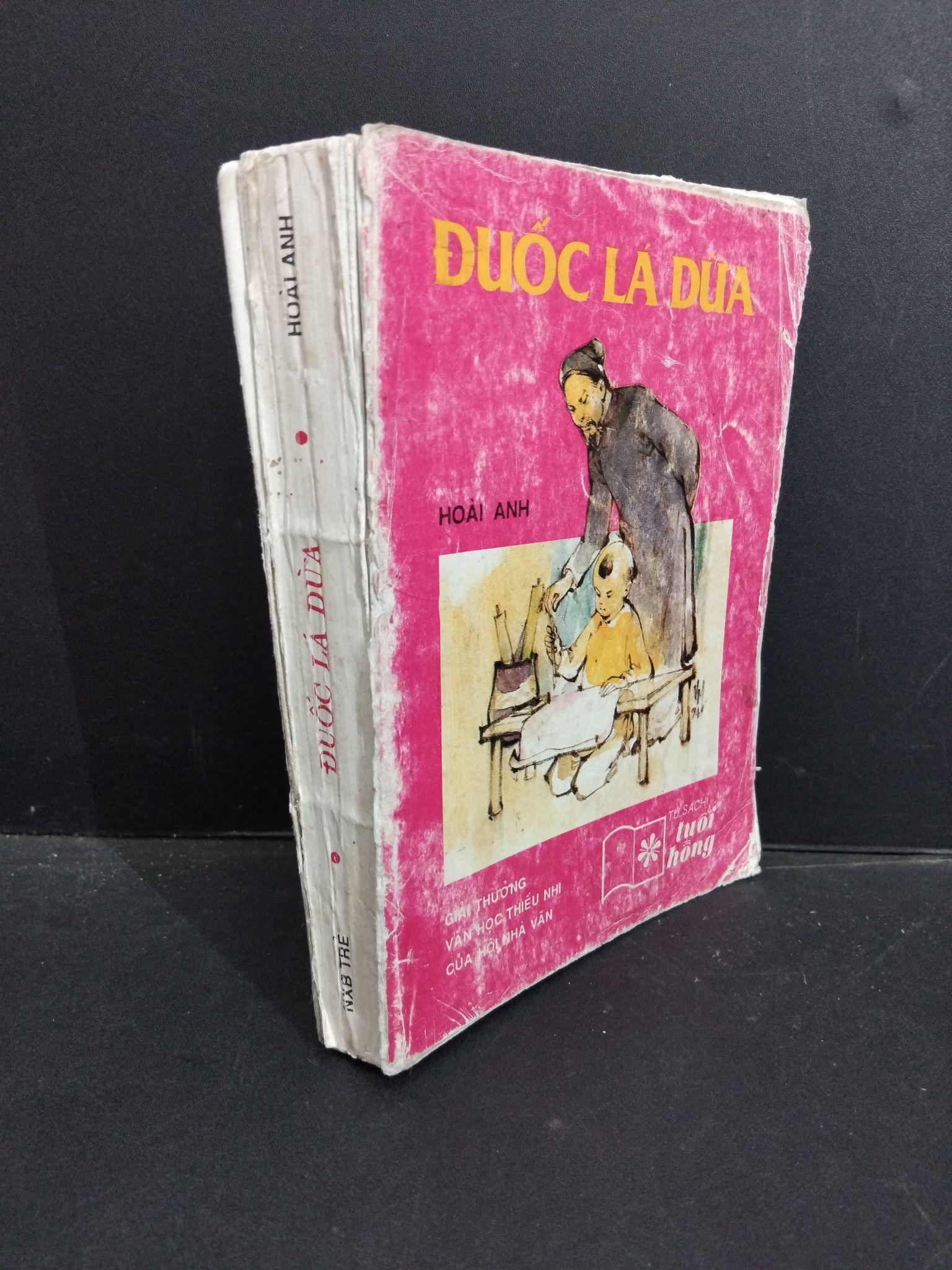 Đuốc lá dừa mới 70% ố rách gáy, rách bìa 1994 1001 Hoài Anh (SL có thể đặt: 1 Cuốn) - SÁCH ĐẠI HỌC