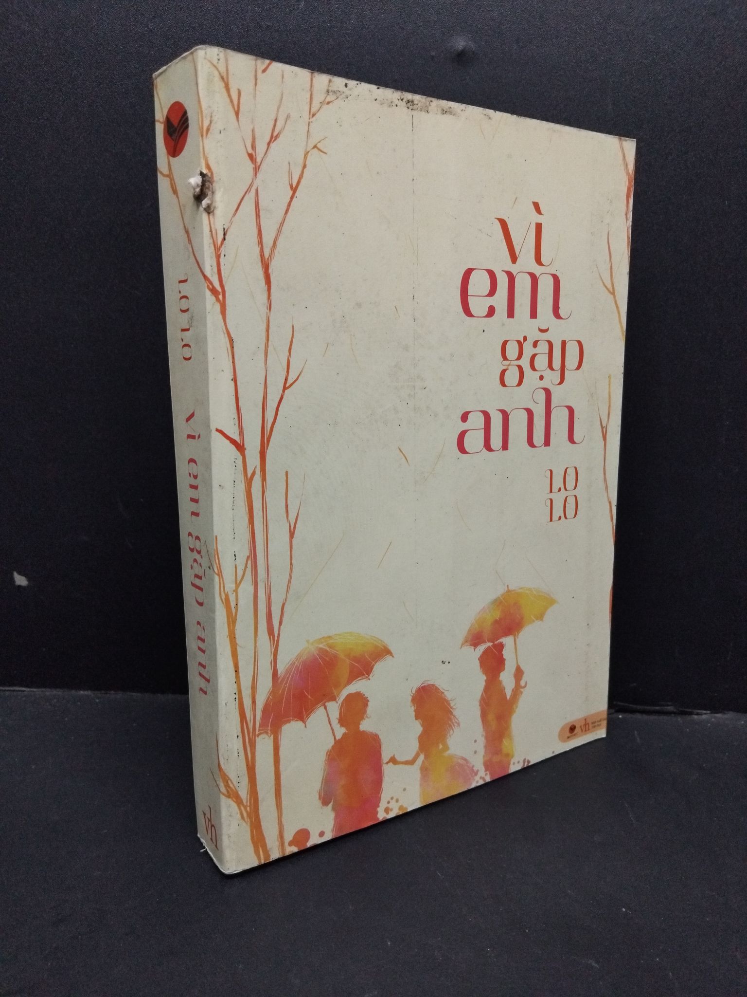 Vì em gặp anh Lo Lo mới 70% bẩn bìa, ố nhẹ, tróc gáy, tróc bìa 2013 3010 (SL có thể đặt: 1 Cuốn) - SÁCH ĐẠI HỌC