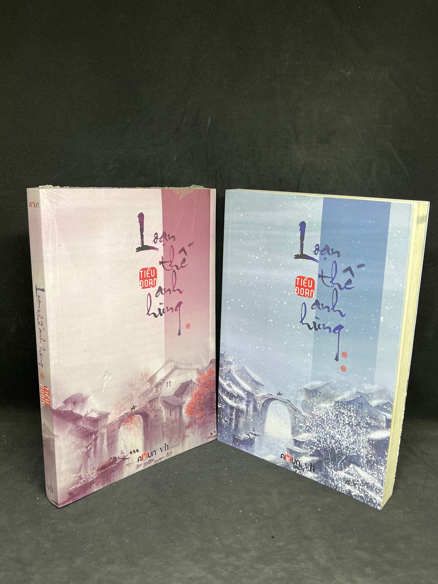 Bộ 2 Cuốn Loạn Thế Anh Hùng - Tiểu Đoạn new 80% 0806 (SL có thể đặt: 2 Bộ) - SÁCH ĐẠI HỌC