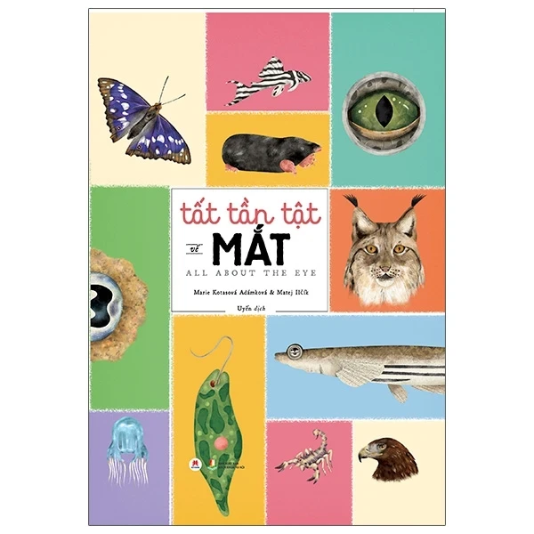 Tất Tần Tật Về Mắt - All About The Eye (Bìa Cứng) - Marie Kotasová Adámková, Matej Ilčík (Mới 100%) Kiến thức bách khoa, Huy Hoàng - SÁCH ĐẠI HỌC