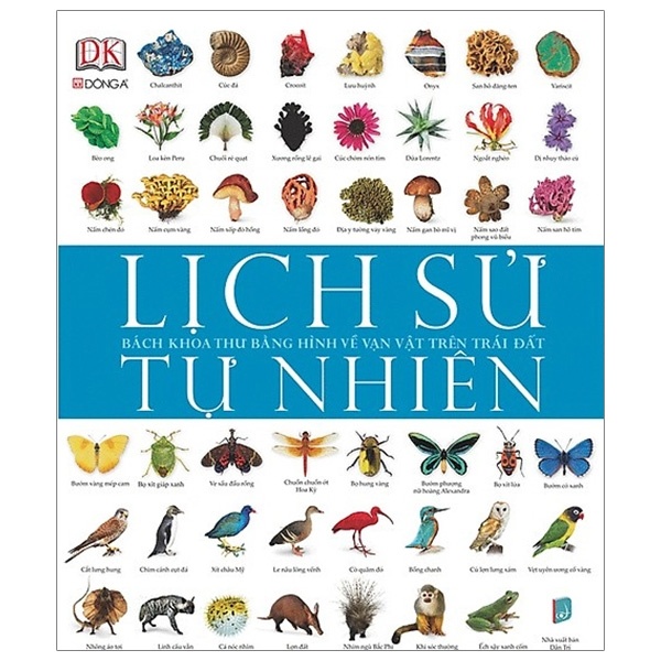 Lịch Sử Tự Nhiên - Bách Khoa Thư Bằng Hình Về Vạn Vật Trên Trái Đất (Bìa Cứng) - DK (Mới 100%) Kiến thức bách khoa, Đông A - SÁCH ĐẠI HỌC