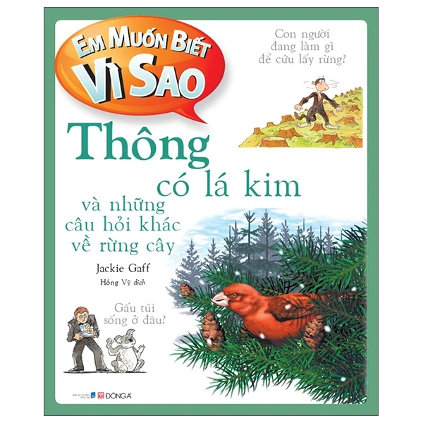 Em Muốn Biết Vì Sao - Thông Có Lá Kim Và Những Câu Hỏi Khác Về Rừng Cây - Jackie Gaff (Mới 100%) Kiến thức bách khoa, Đông A - SÁCH ĐẠI HỌC