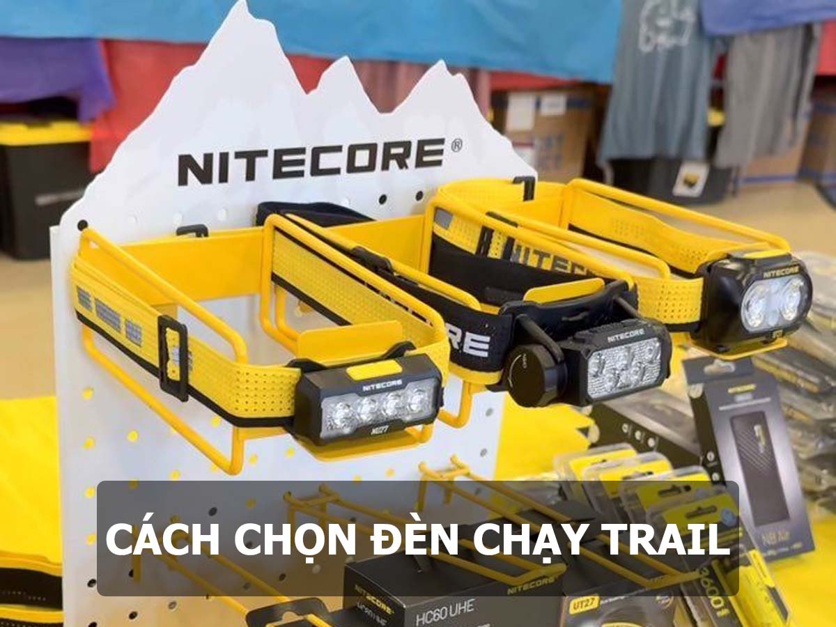 Đây là bài viết mẫu