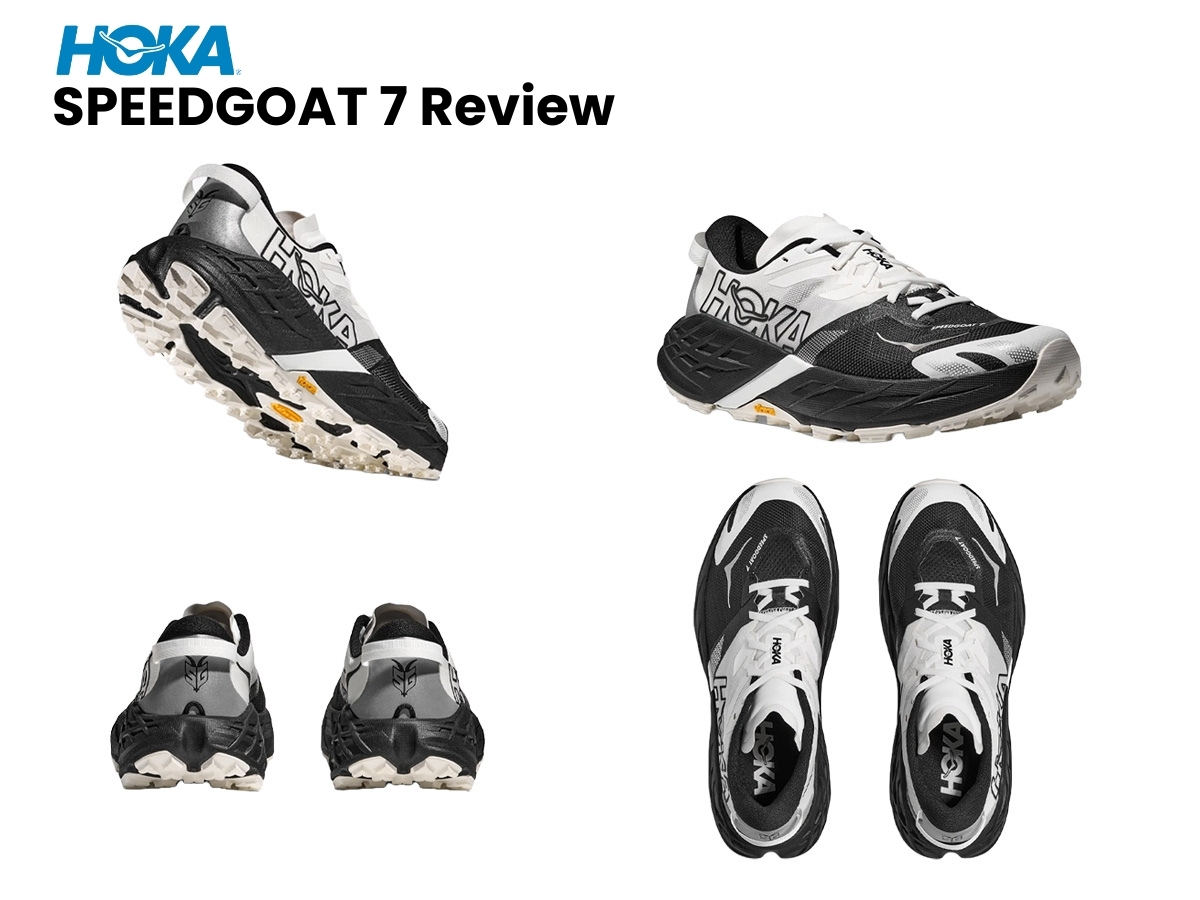 Đây là bài viết mẫu