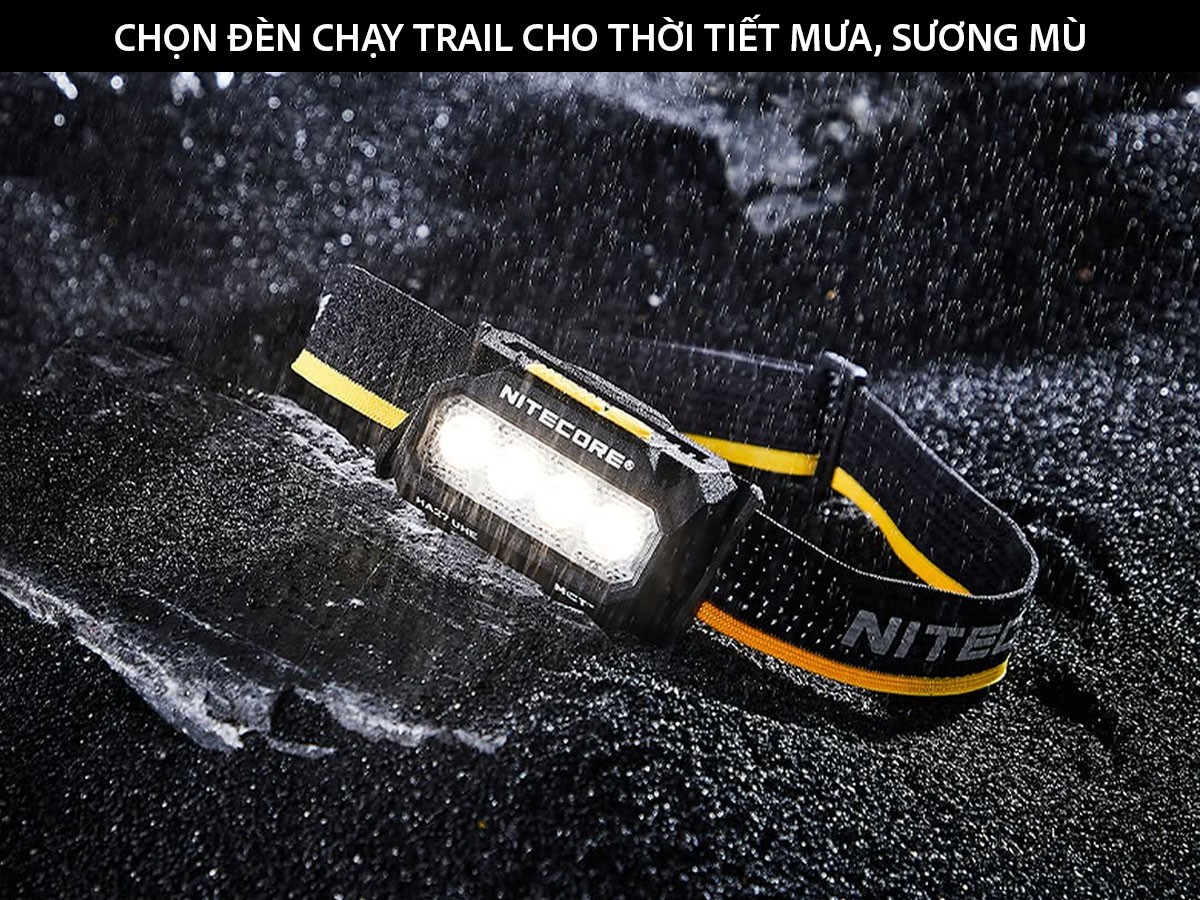 Đây là bài viết mẫu