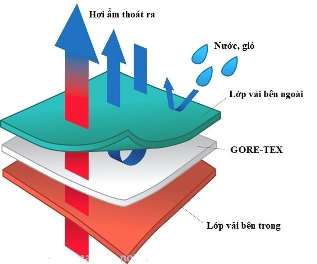 Chất liệu GORE-TEX và cách thức hoạt động