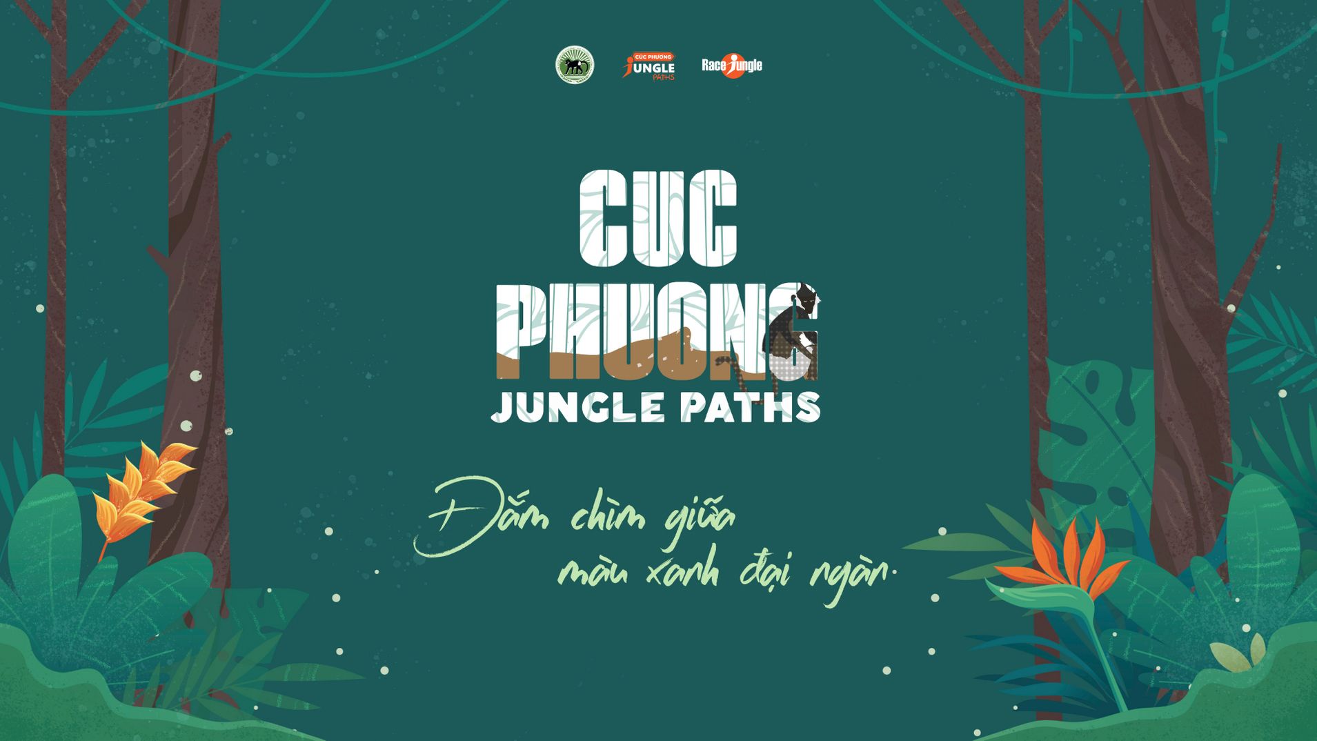 Cuc Phuong Jungle Paths