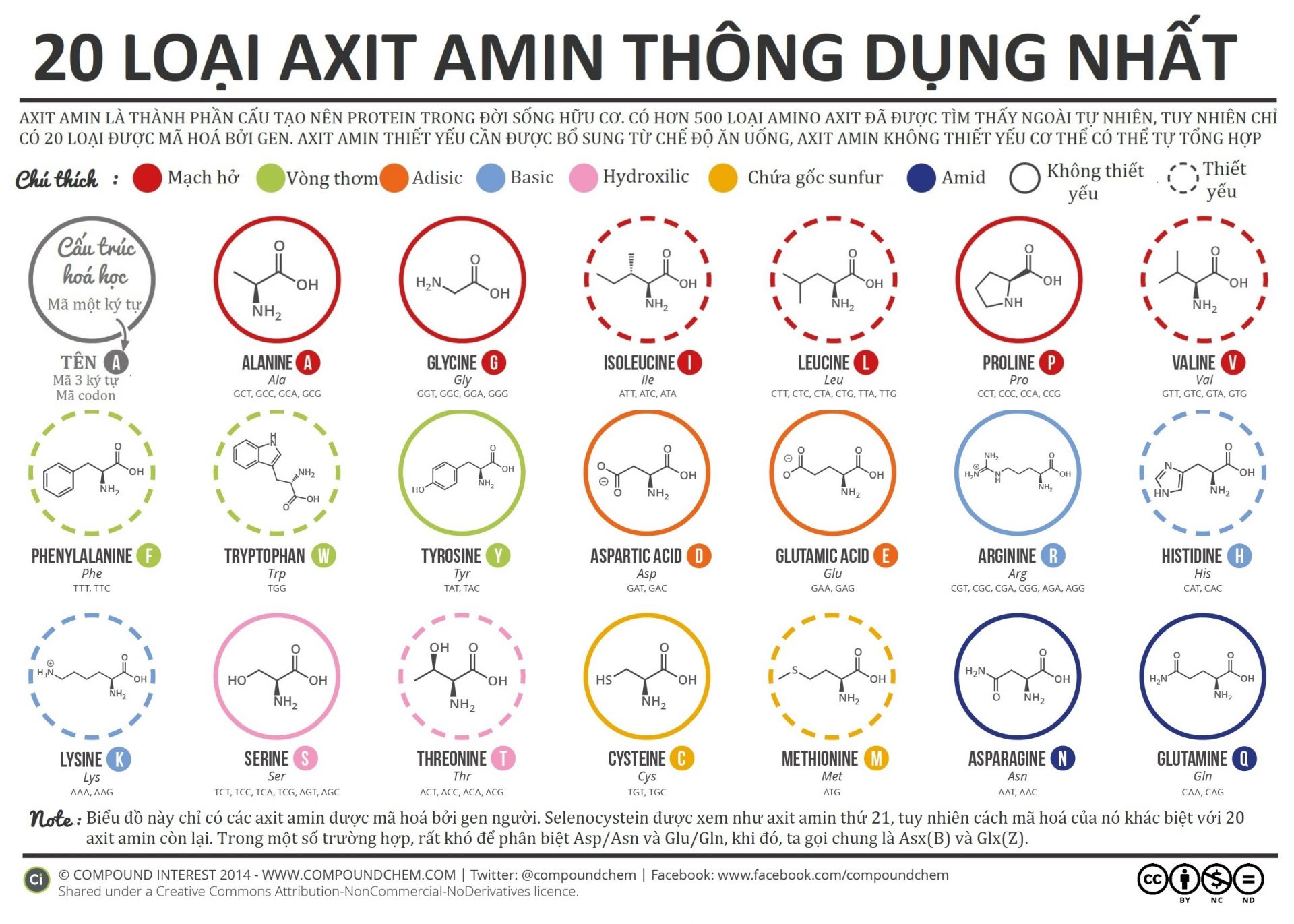 20 loại axit amin thông dụng