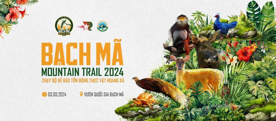 Bạch Mã Mountain Trail Raceday 03/03/2024