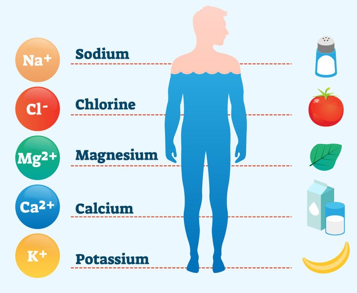 Các chất điện giải trong cơ thể