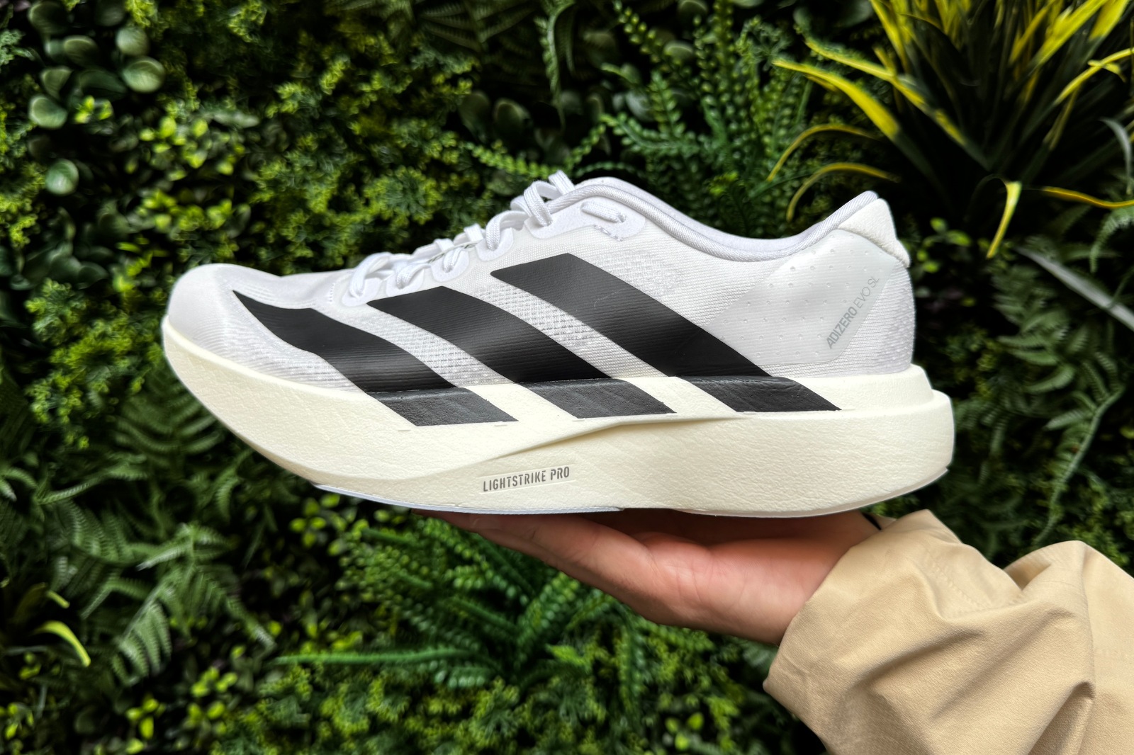 Giày chạy bộ Adidas Adizero Evo SL