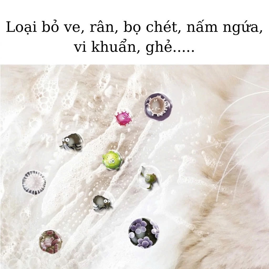 D1A41840-53BB-4216-A28C-33A4986CC565.png