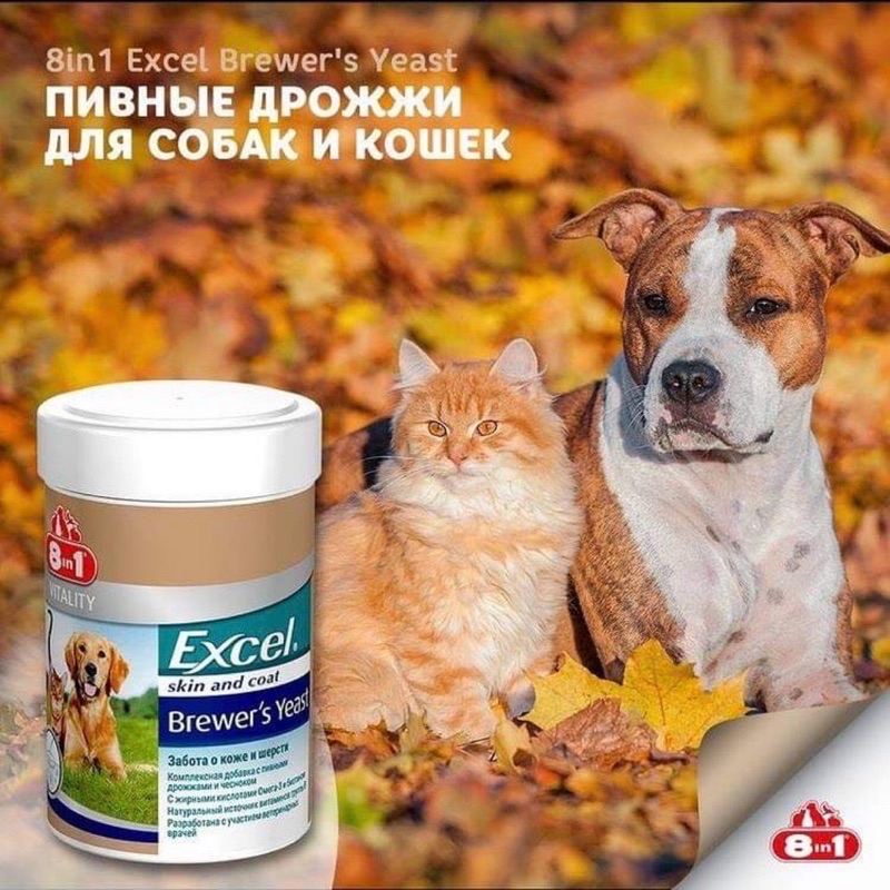 4C631327-3590-4139-9C55-3CF3C2ECAC5B.jpeg