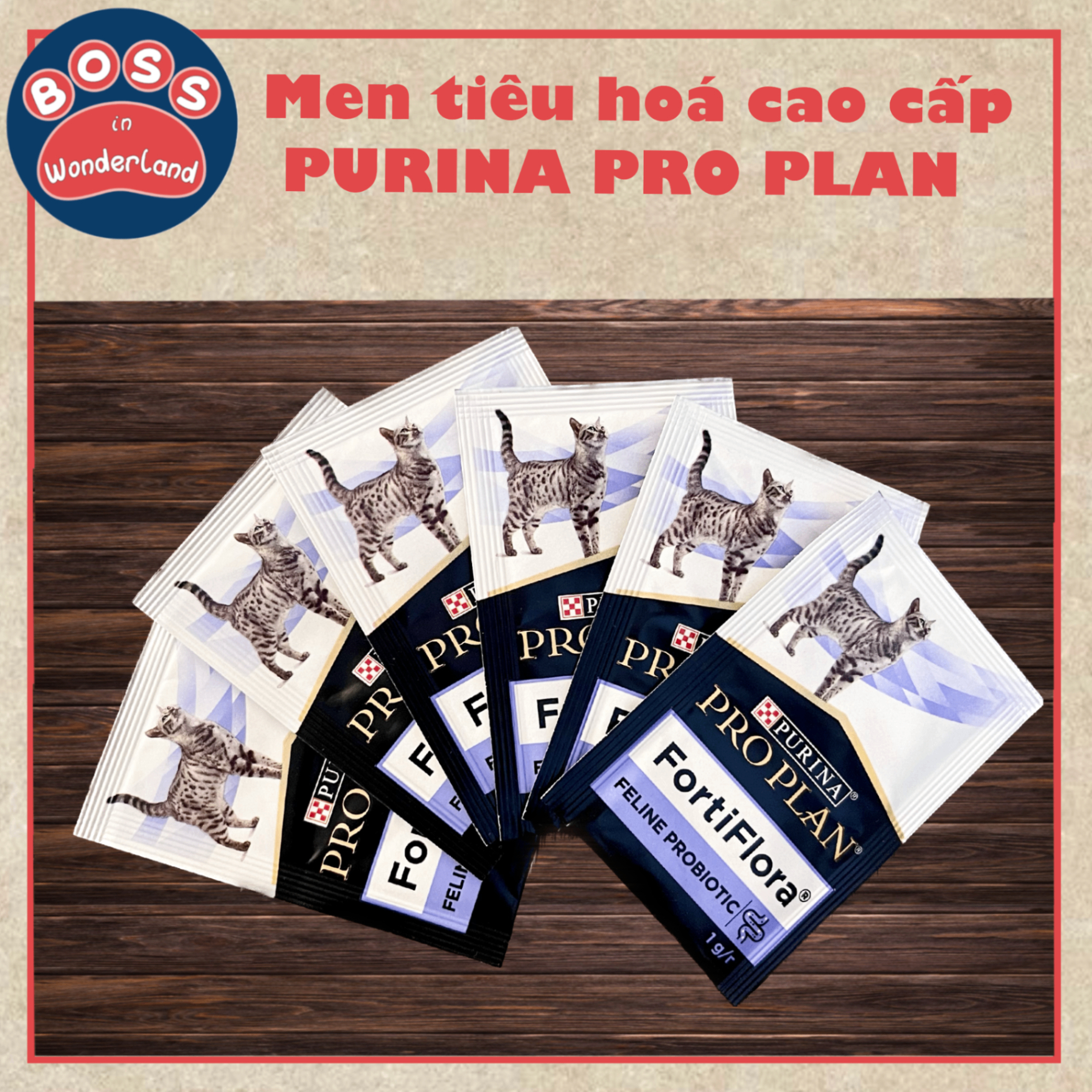 B3044EFE-1E24-4F8A-94FE-CFB8F9EDBB1C.png
