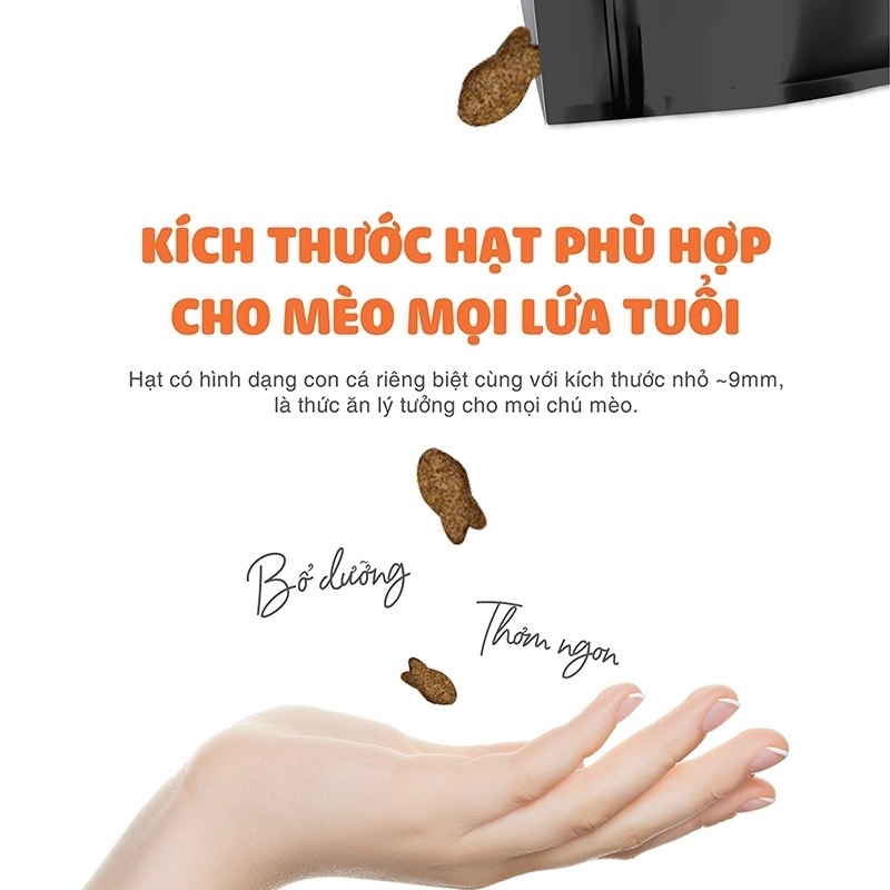 8B66C470-5E6E-4E70-9B8D-19B9798A24F4.jpeg