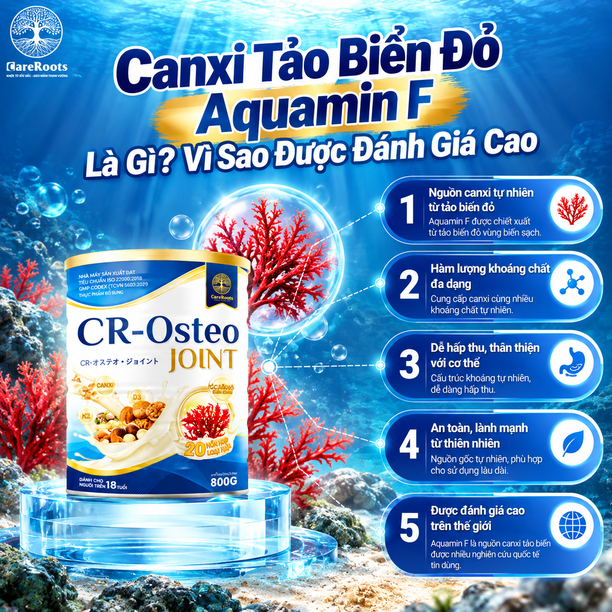 Canxi Tảo Biển Đỏ Aquamin F Là Gì? Vì Sao Được Đánh Giá Cao
