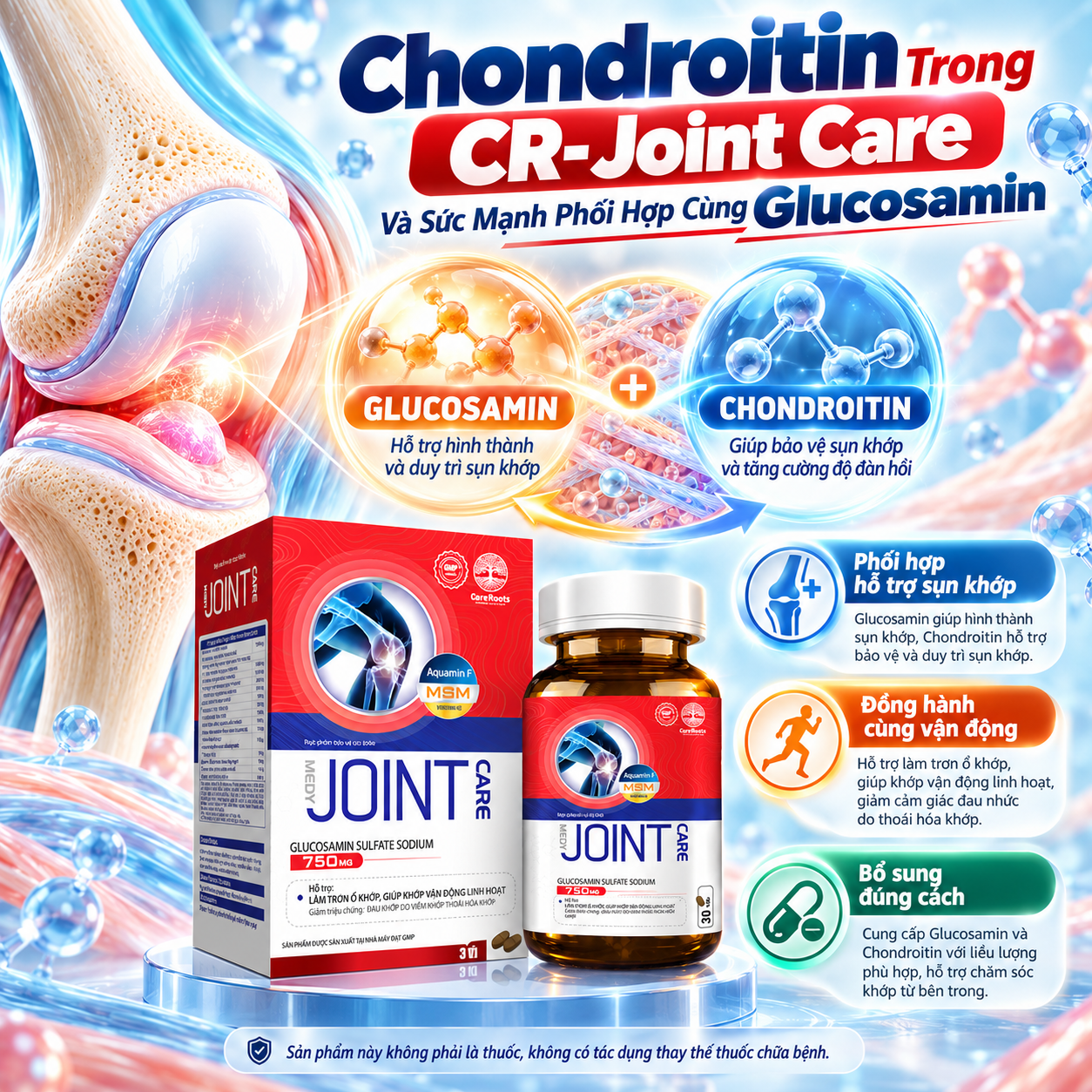 Chondroitin Trong CR-Joint Care Và Sức Mạnh Phối Hợp Cùng Glucosamin
