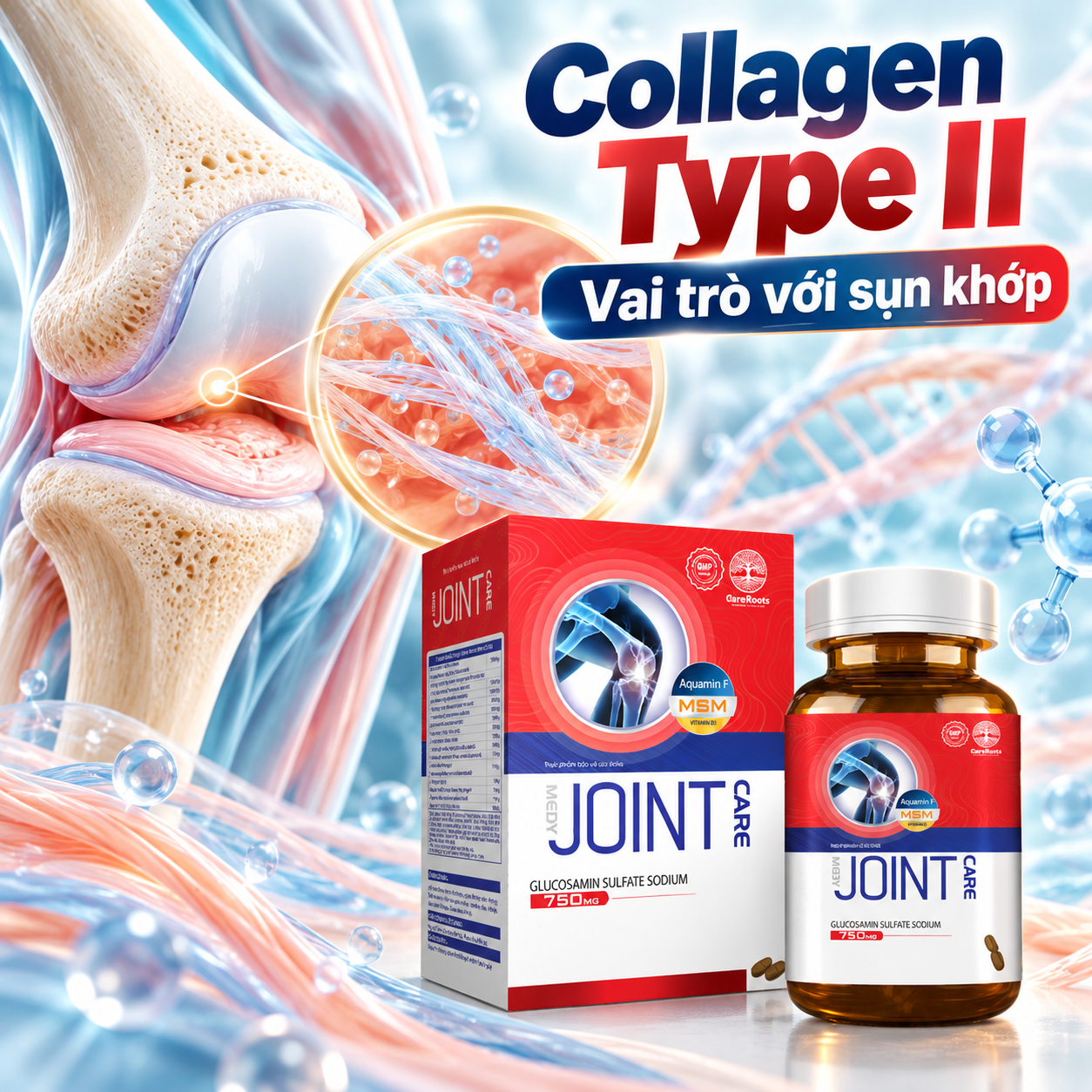 Collagen Type 2 Trong CR-Joint Care Có Vai Trò Gì Với Sụn Khớp
