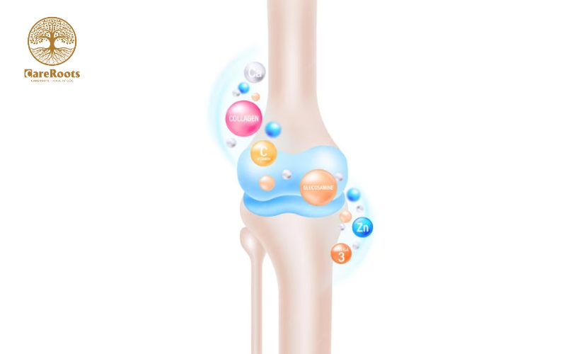 Glucosamine-Uong-Chung-Voi-Omega-3-Duoc-Khong-_Glucosamine la gi.jpg