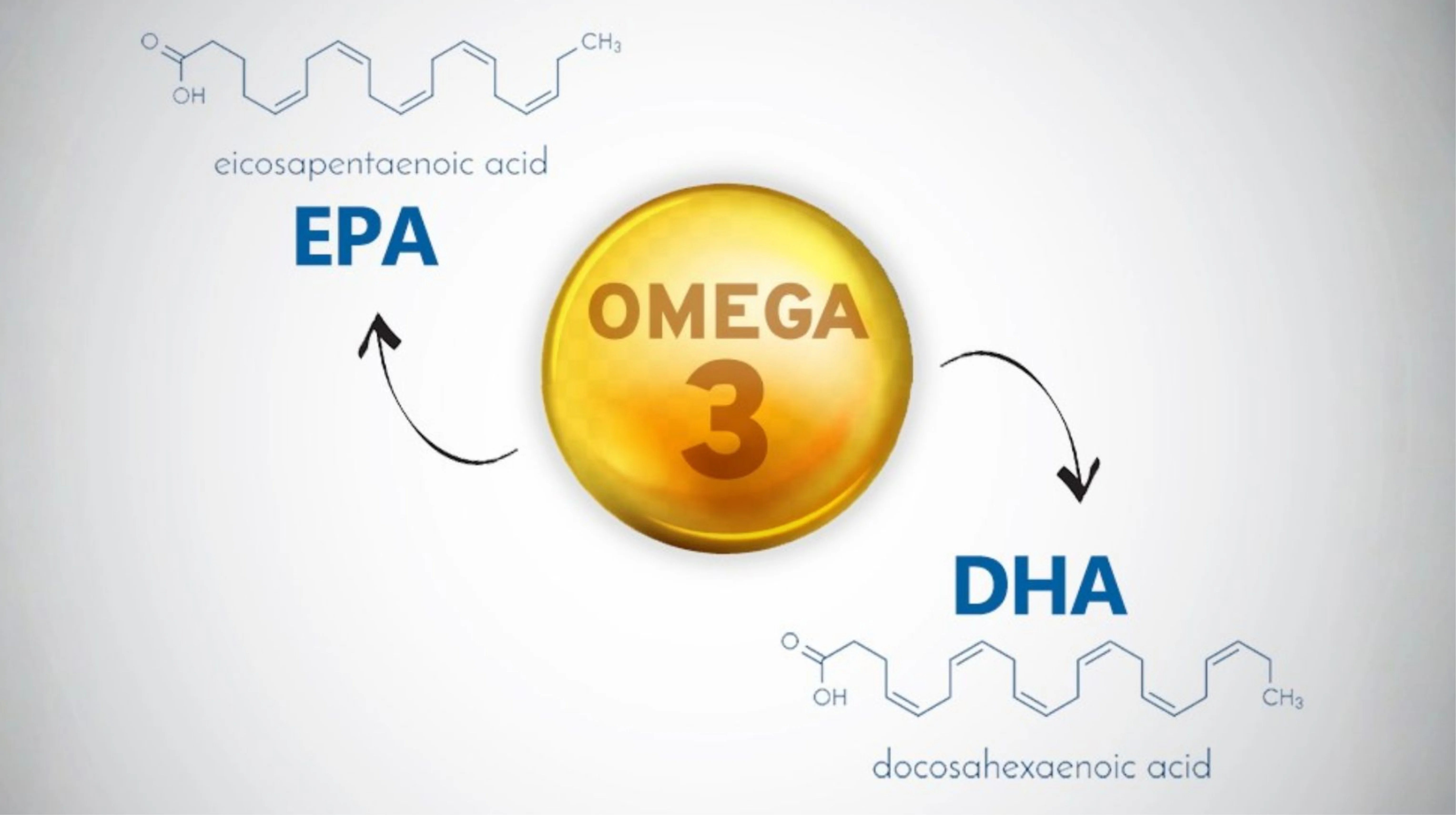 Khám Phá Vai Trò Của EPA Trong Omega 3 Bảo Vệ Thành Mạch Khỏe Mạnh