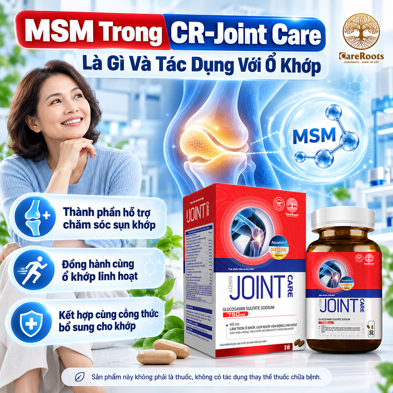 MSM Trong CR-Joint Care Là Gì Và Tác Dụng Với Ổ Khớp