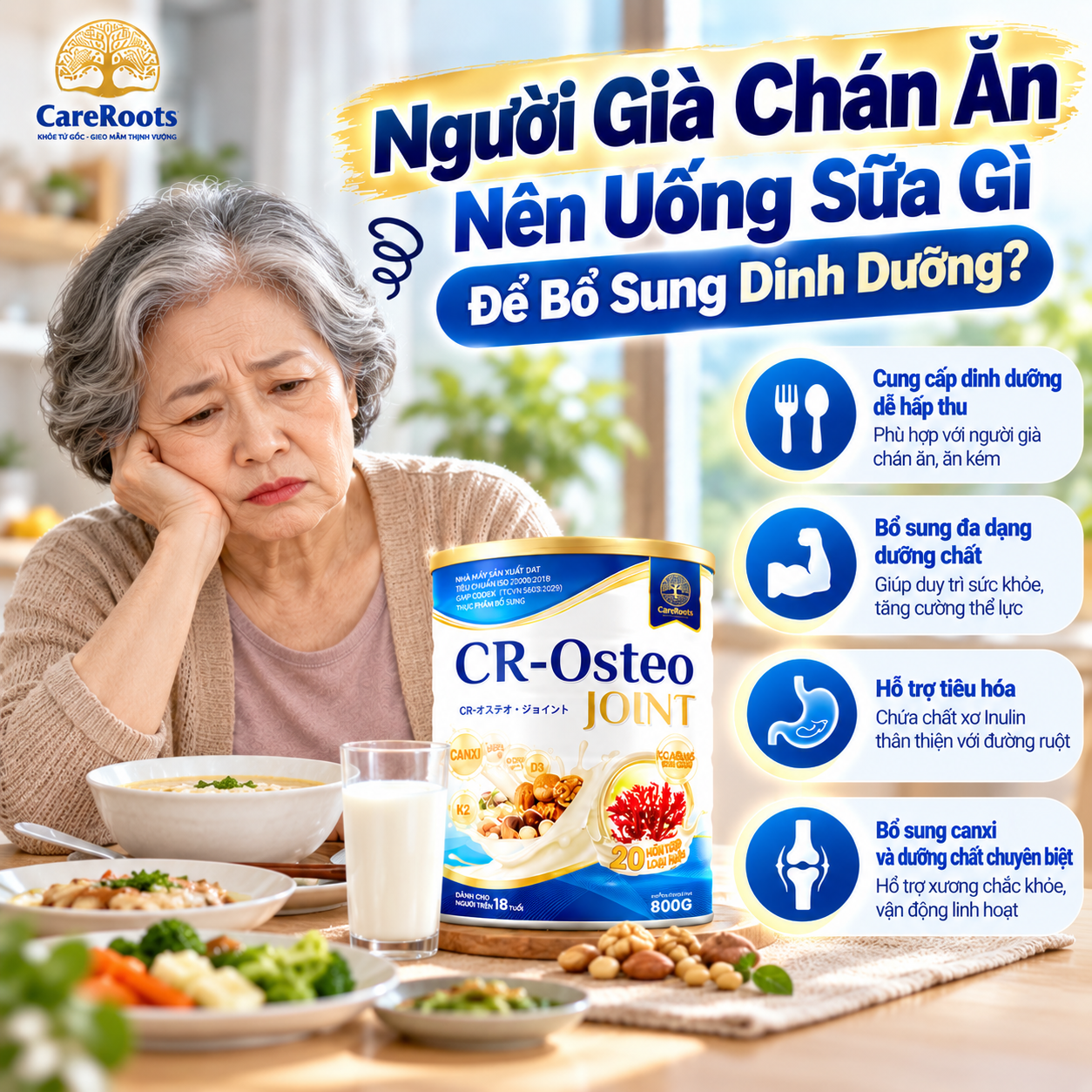 Người Già Chán Ăn Nên Uống Sữa Gì Để Bổ Sung Dinh Dưỡng?