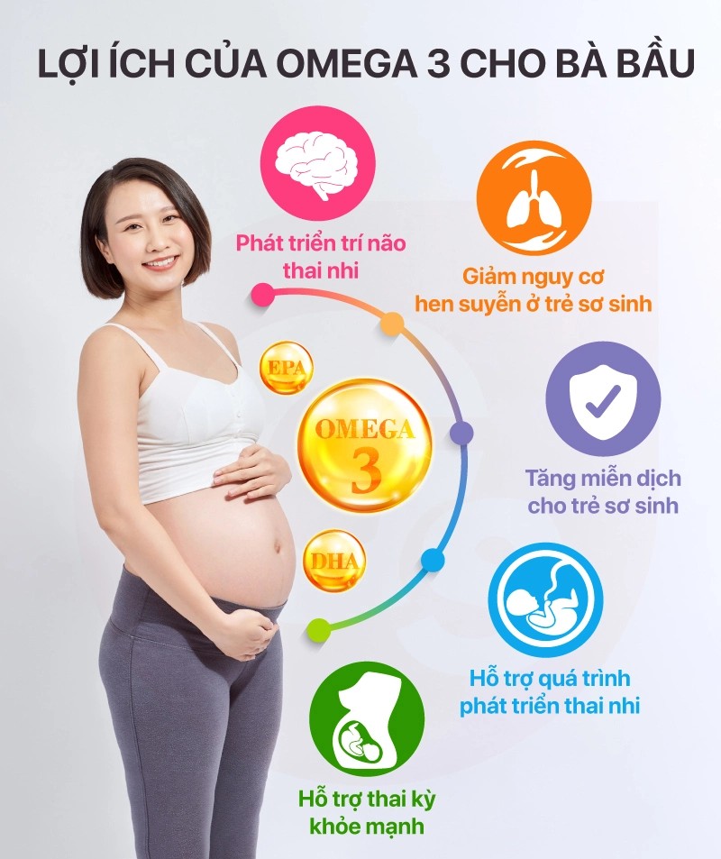 Lợi Ích Của Omega 3 Cho Bà Bầu Và Cách Bổ Sung An Toàn Cho Thai Nhi