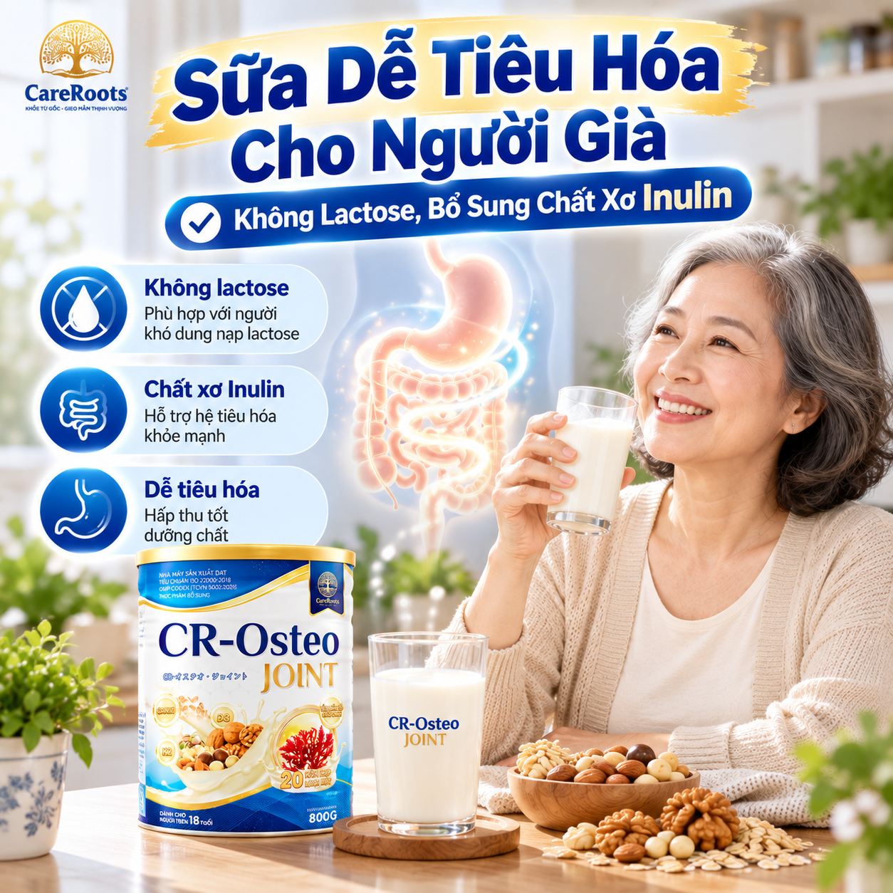 Sữa Dễ Tiêu Hóa Cho Người Già: Không Lactose, Bổ Sung Chất Xơ Inulin