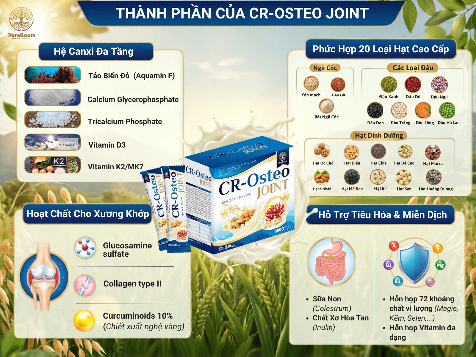 Osteo Joint gói.png