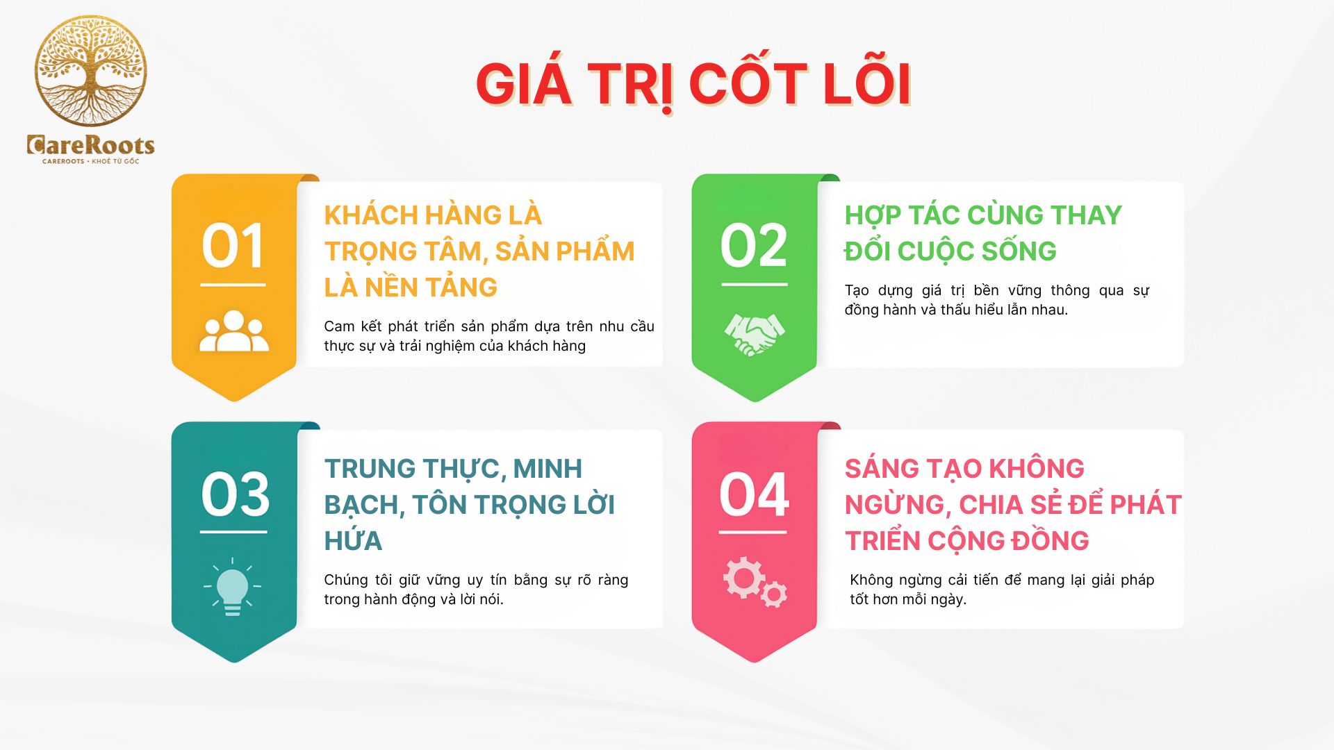 Giới thiệu về công ty Careroots