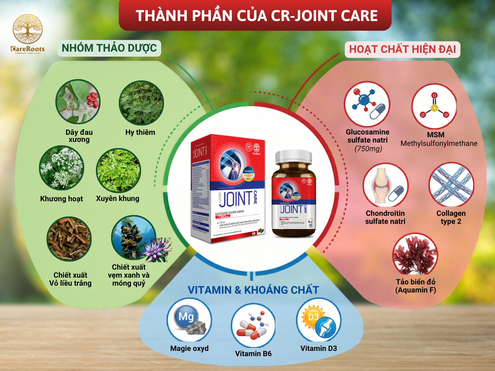 Combo-Ho-Tro-Phuc-Hoi-Van-Dong-Sua-Canxi-CR-Osteo-Joint-amp-CR-Joint-Care-Bo-Sung-Canxi-Huu-Co-Tai-Tao-Sun-Khop-amp-Phuc-Hoi-Van-Dong-2.png?v=1782982141