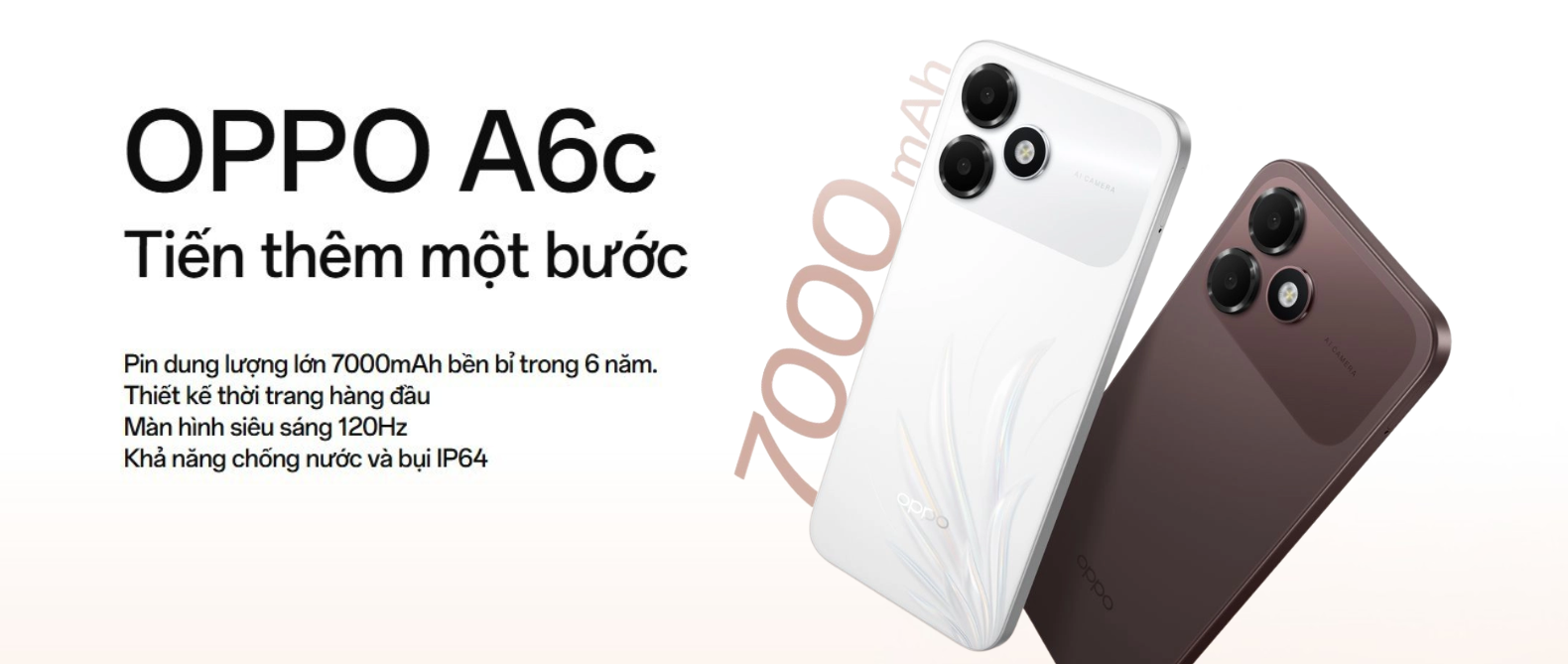a6c