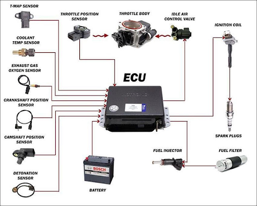 Ecu ô tô là gì? Vai trò, cấu tạo và nguyên lý hoạt động