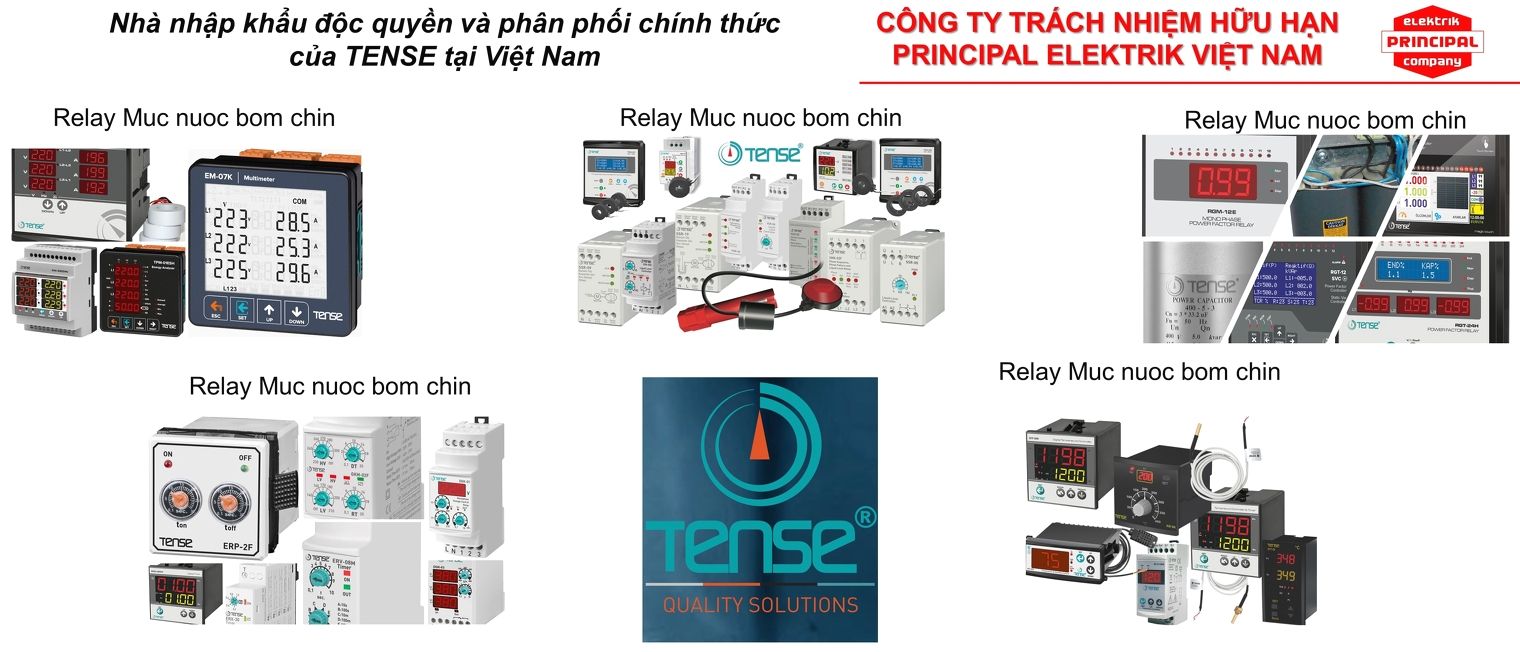 Công ty TNHH Principal Elektrik 1