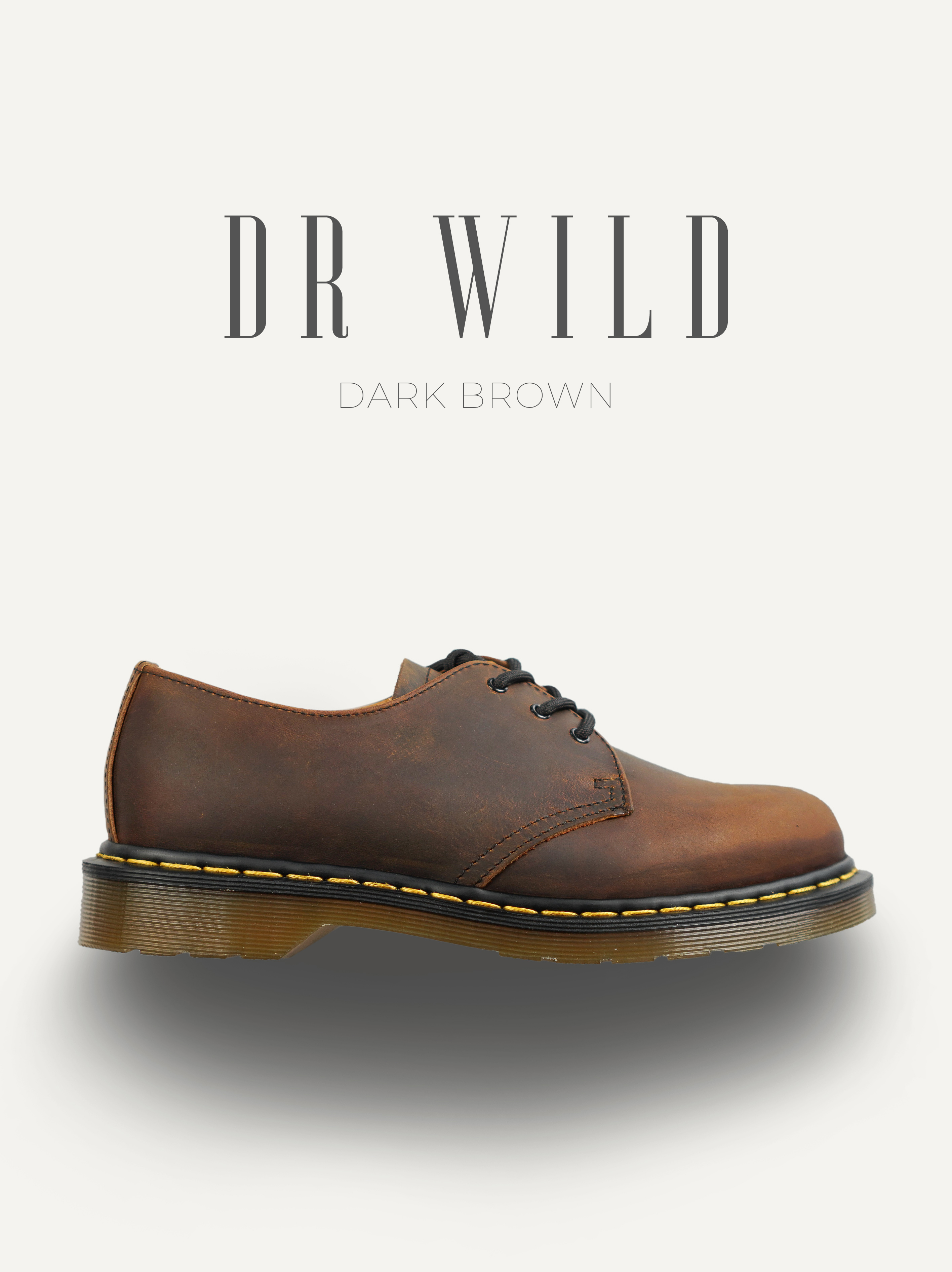 Giày nam Dr Wild - DarkBrown