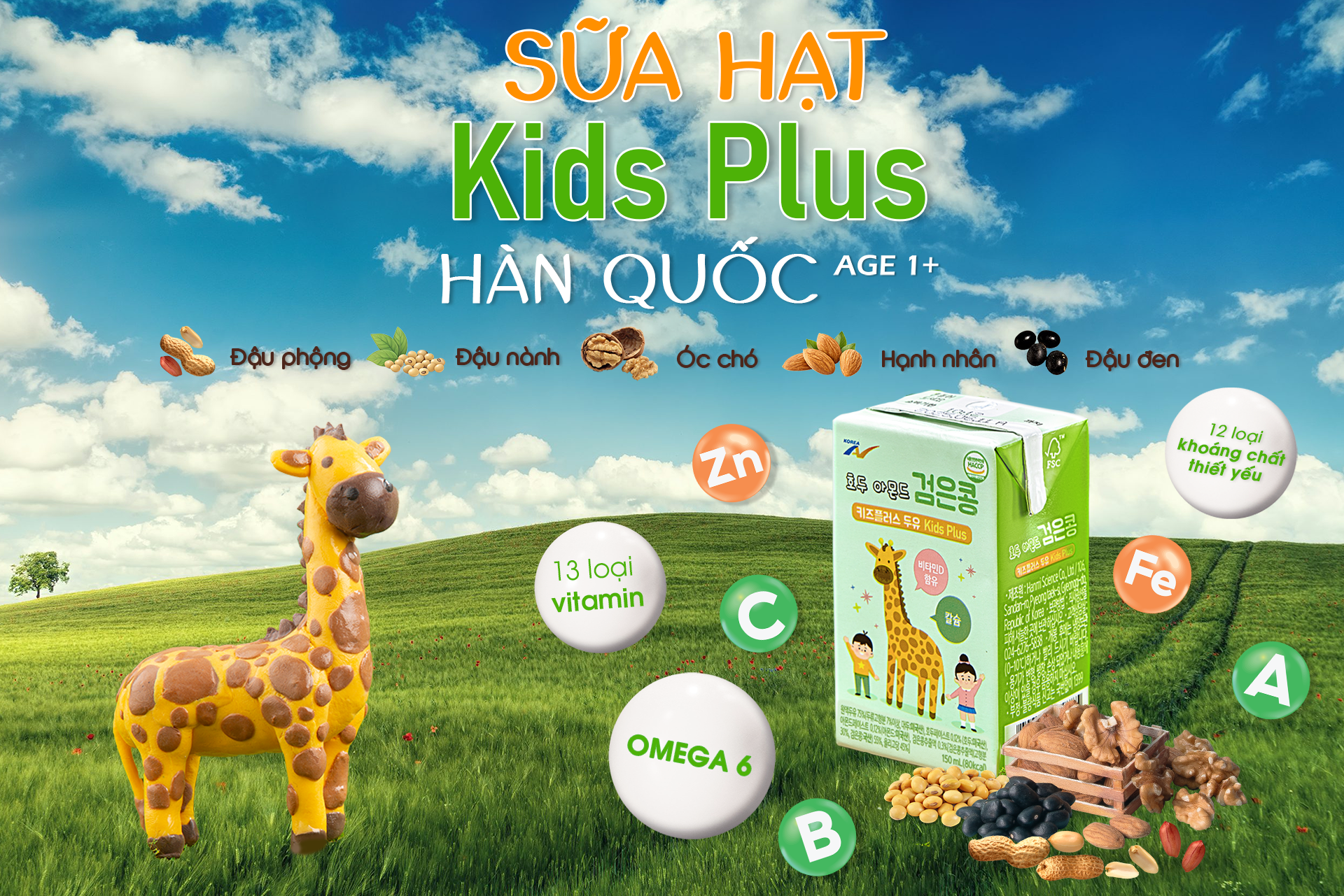 20241128_C6auozL8.png