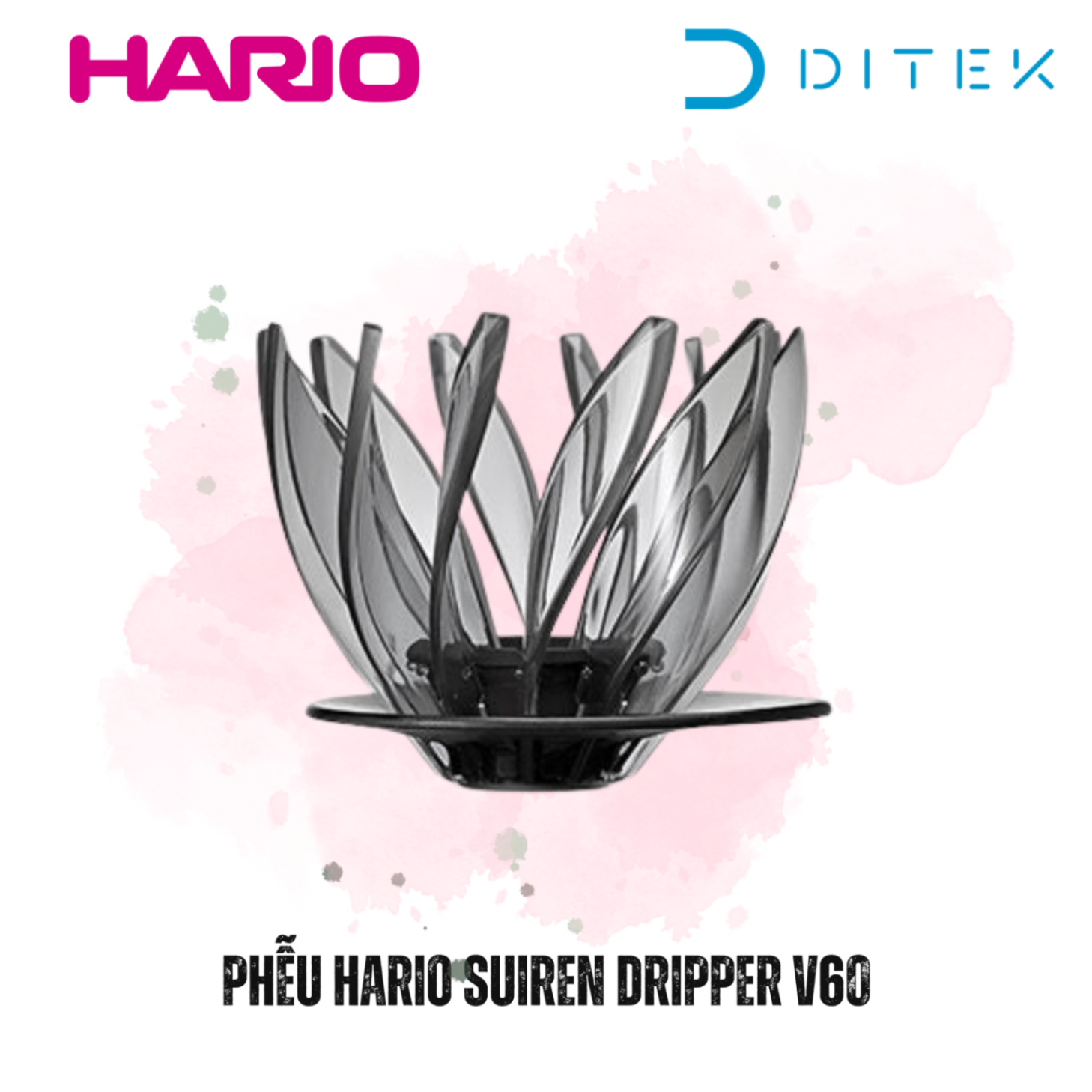 Phễu lọc Hario Suiren V60 Hoa Súng - HARIO Suiren 02 Dripper