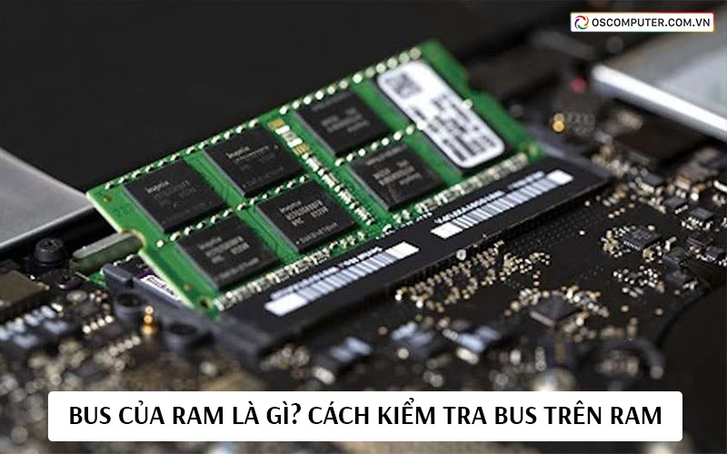 Bus của RAM là gì? Cách kiểm tra bus trên RAM