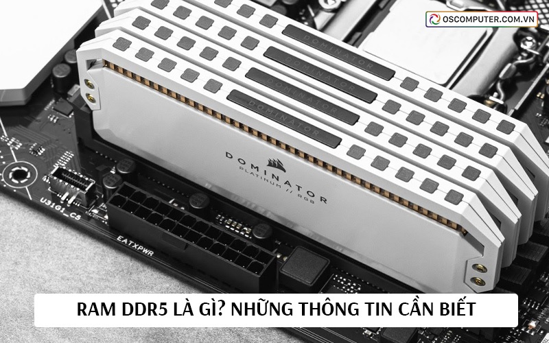 RAM DDR5 là gì? Những thông tin cần biết