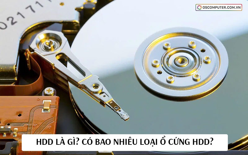 HDD là gì? Có bao nhiêu loại ổ cứng HDD?