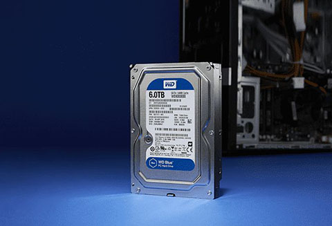 Western Digital Blue 1TB