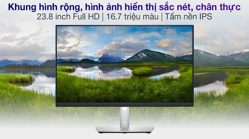 Thông số màn hình Dell P2422H