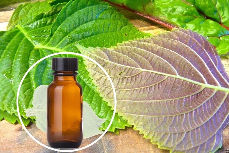 Vì sao phụ nữ Hàn Quốc tin dùng dầu tía tô trong chăm sóc sức khỏe và làm đẹp?