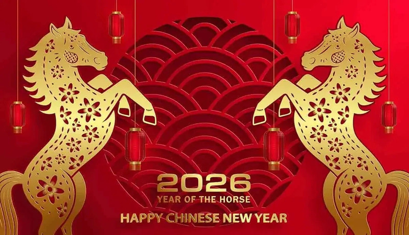 20260210_6FaZlrKF.jpg