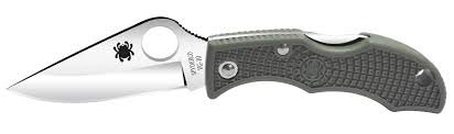 Spyderco Ladybug 3 Foliage Green