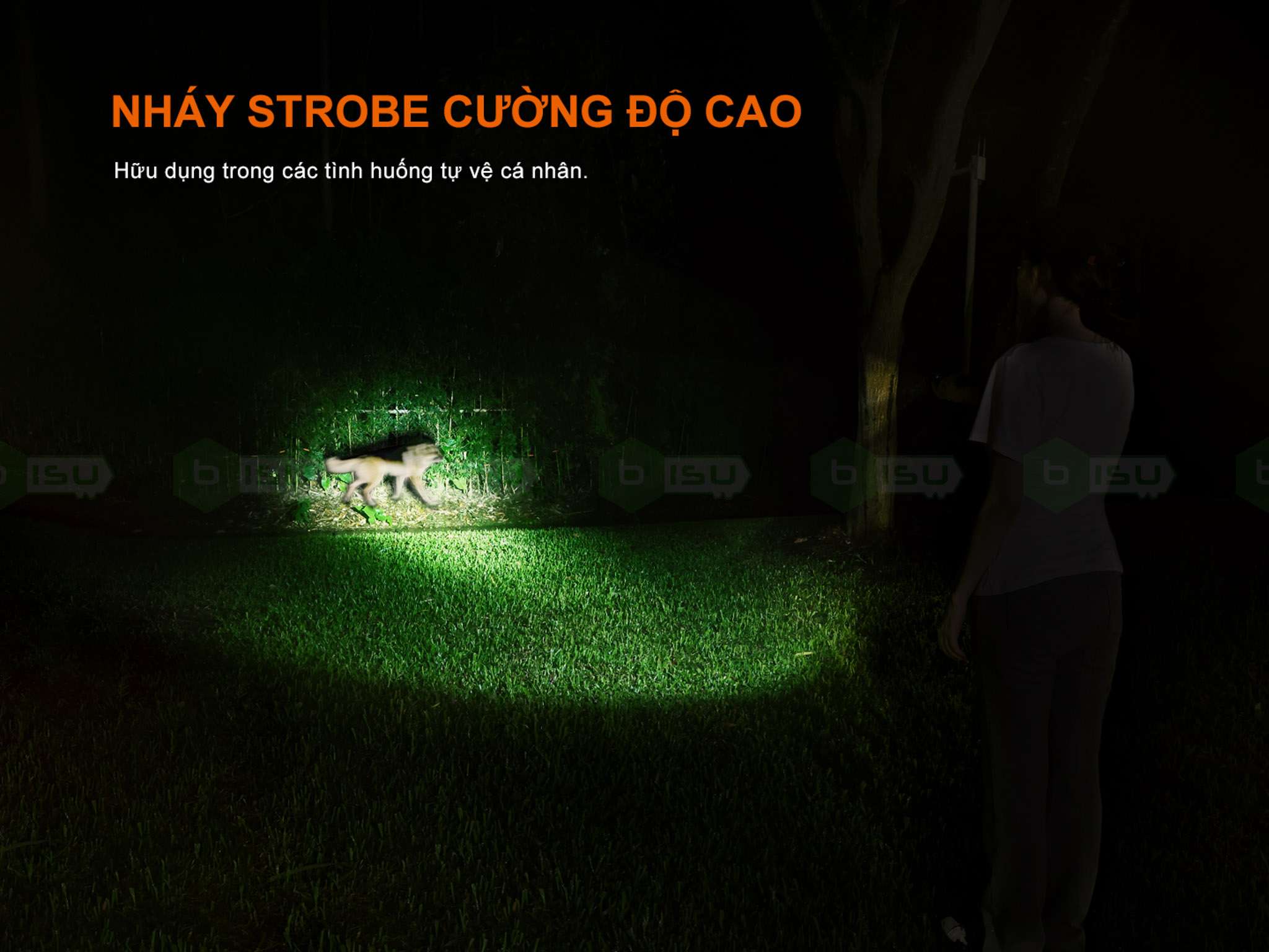 Den-pin-FENIX-LD35R-1800-lumen-da-nang_Fenix LD35R-07.jpg