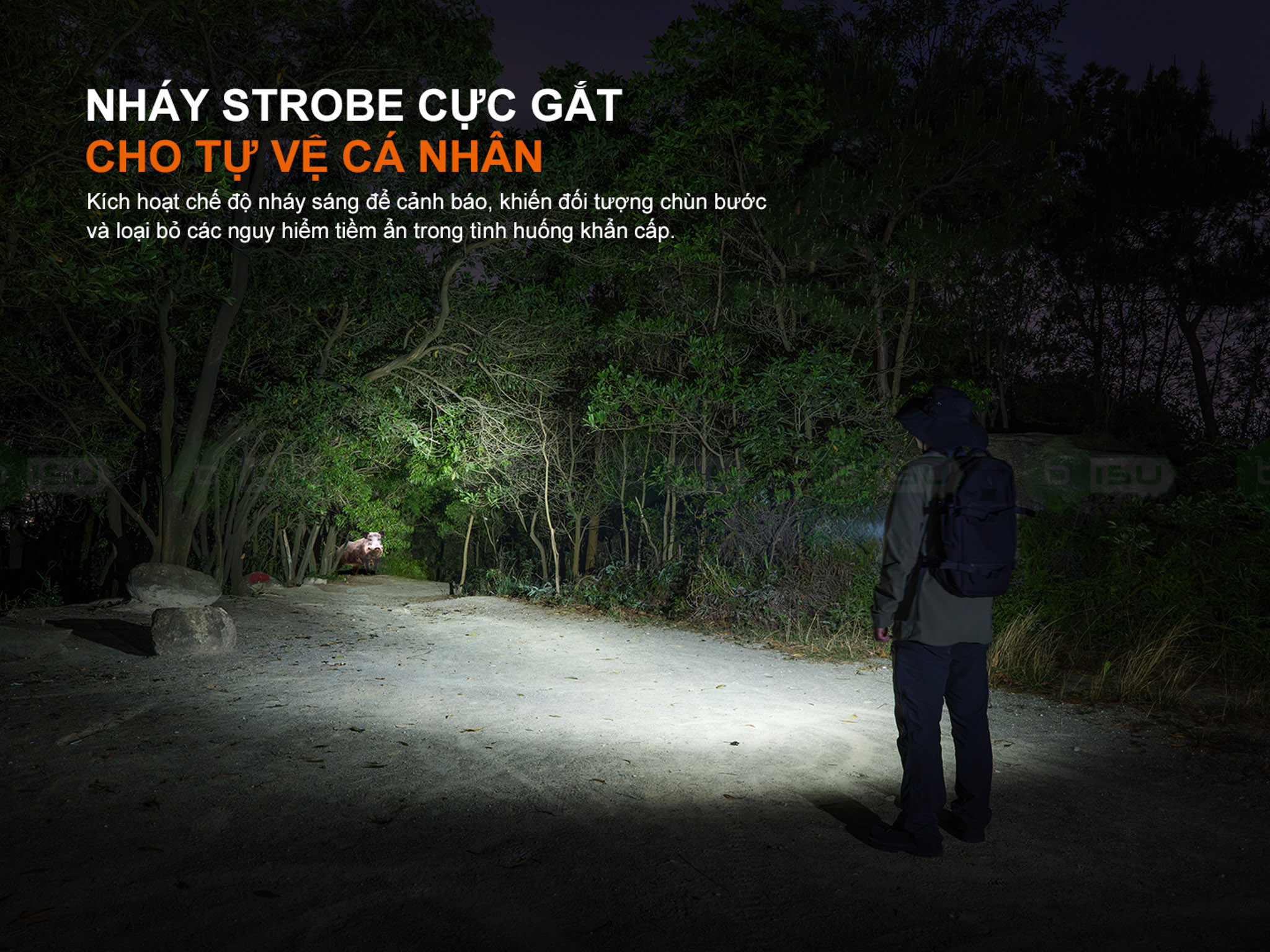 Den-pin-FENIX-LD36R-3600-lumen-LED-RGB_Fenix LD36R-08.jpg