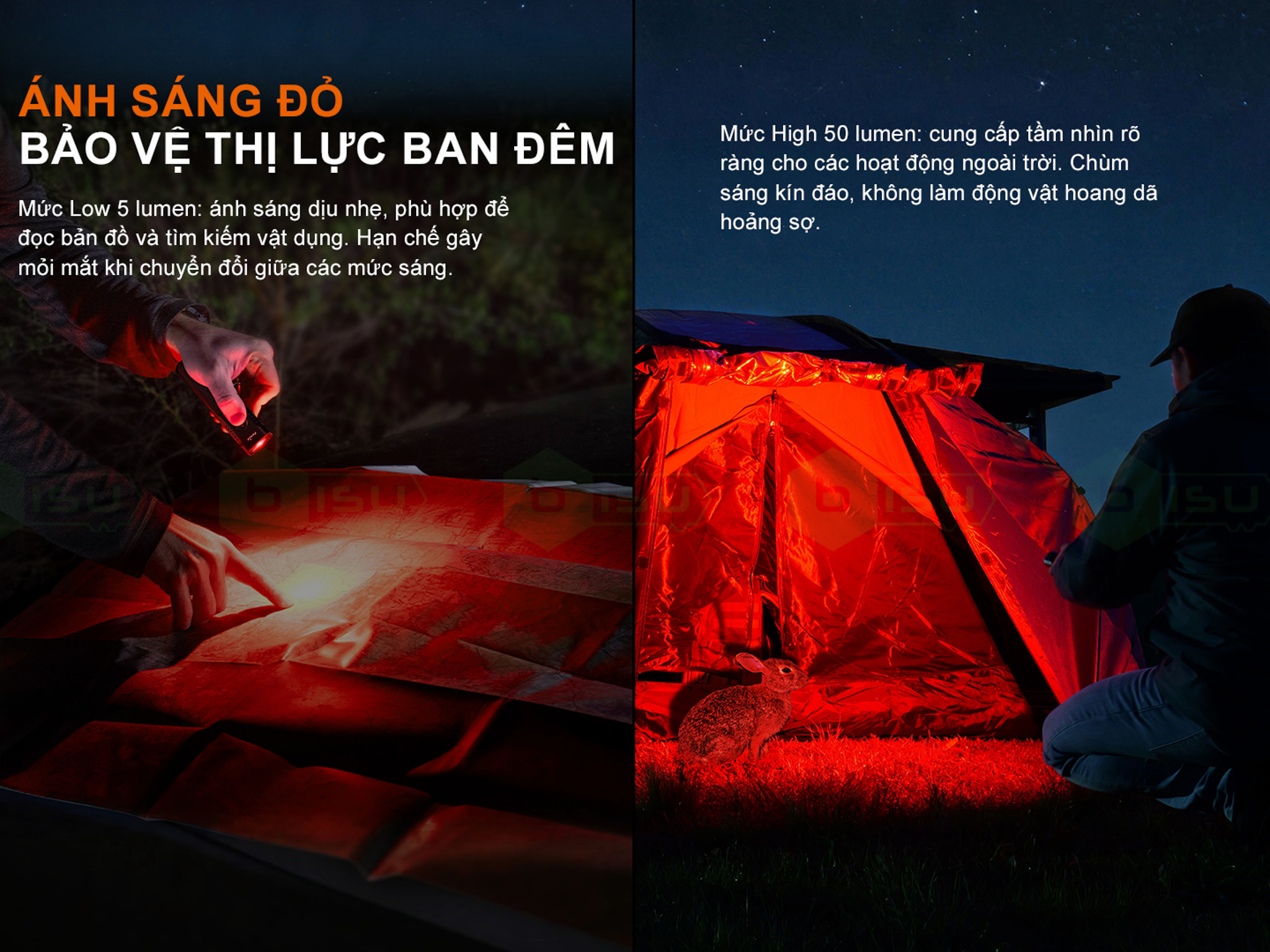 Den-pin-than-det-Fenix-E08R-UE-1600-Lumens--22.jpg?v=1780482646