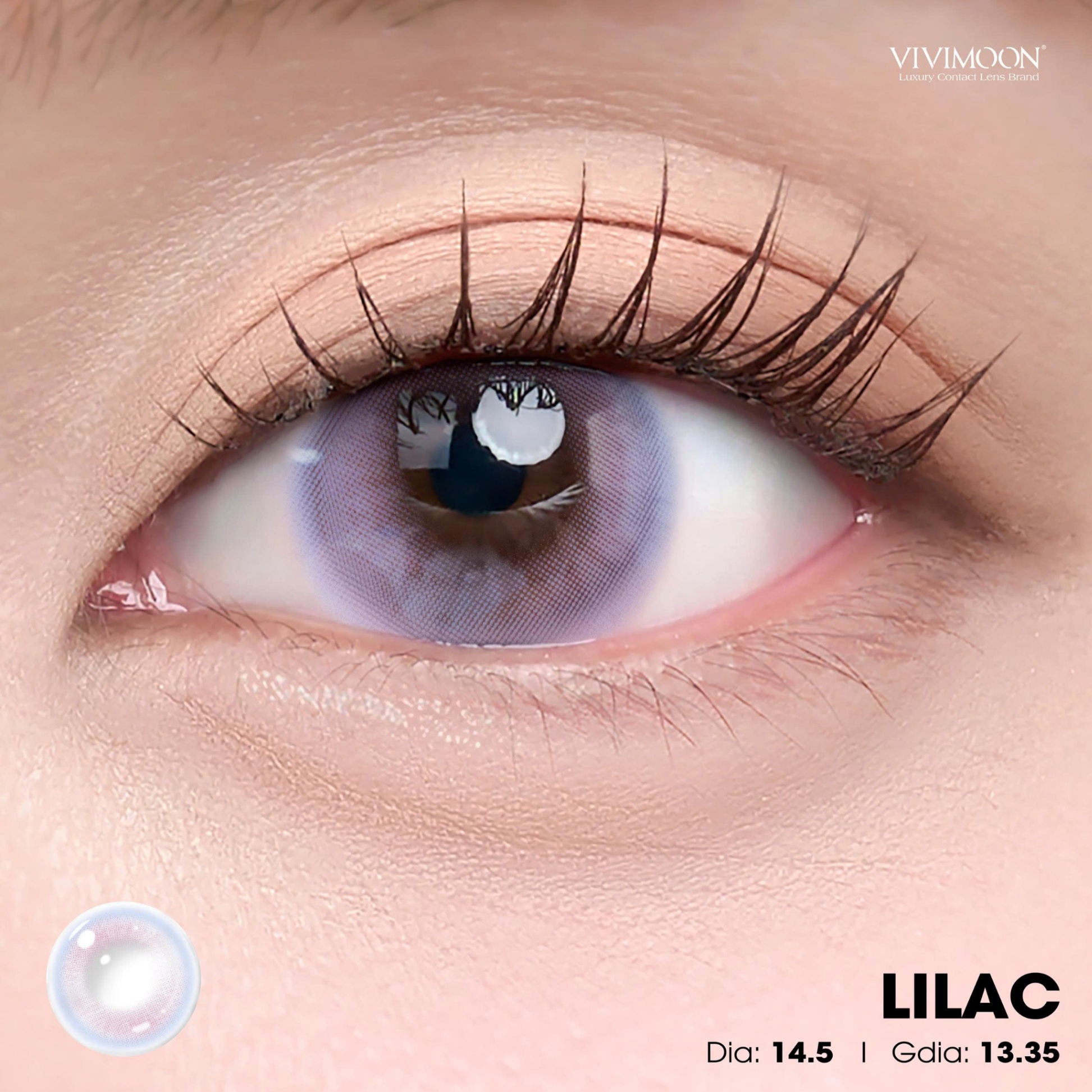 Lilac - 1 day